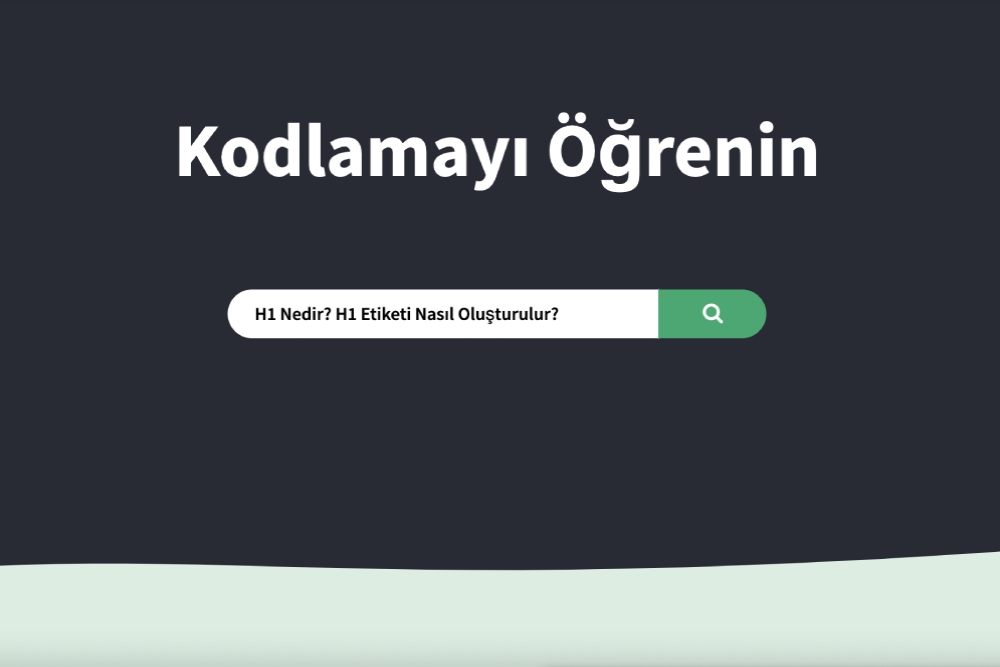 H1 Nedir? H1 Etiketi Nasıl Oluşturulur?