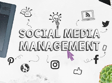 Social Media Management